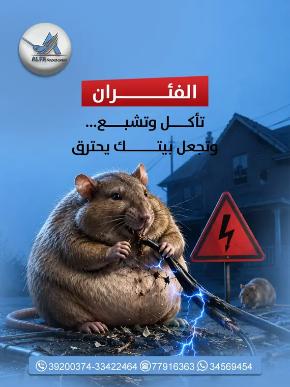 تصميم بوست سوشيال ميديا لمطعم مقرمش رقم 49