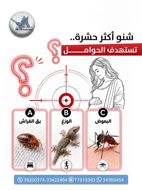تصميم بوست سوشيال ميديا لمطعم مقرمش رقم 51
