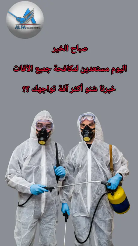 تصميم استوري لعلامة تجارية رقم 39