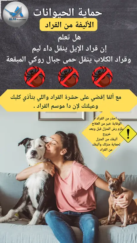 تصميم استوري سوشيال ميديا رقم 111
